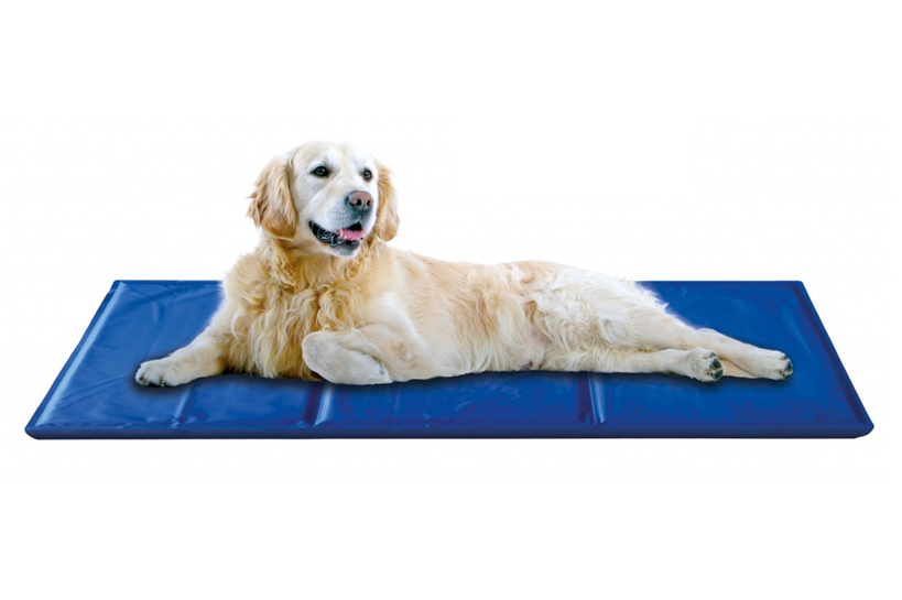 Petnova Kühlmatte Hund dunkelblau